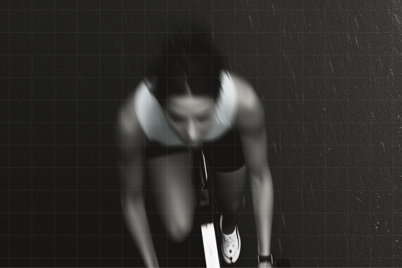Gymly 3